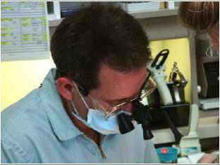 florida luxury vacation